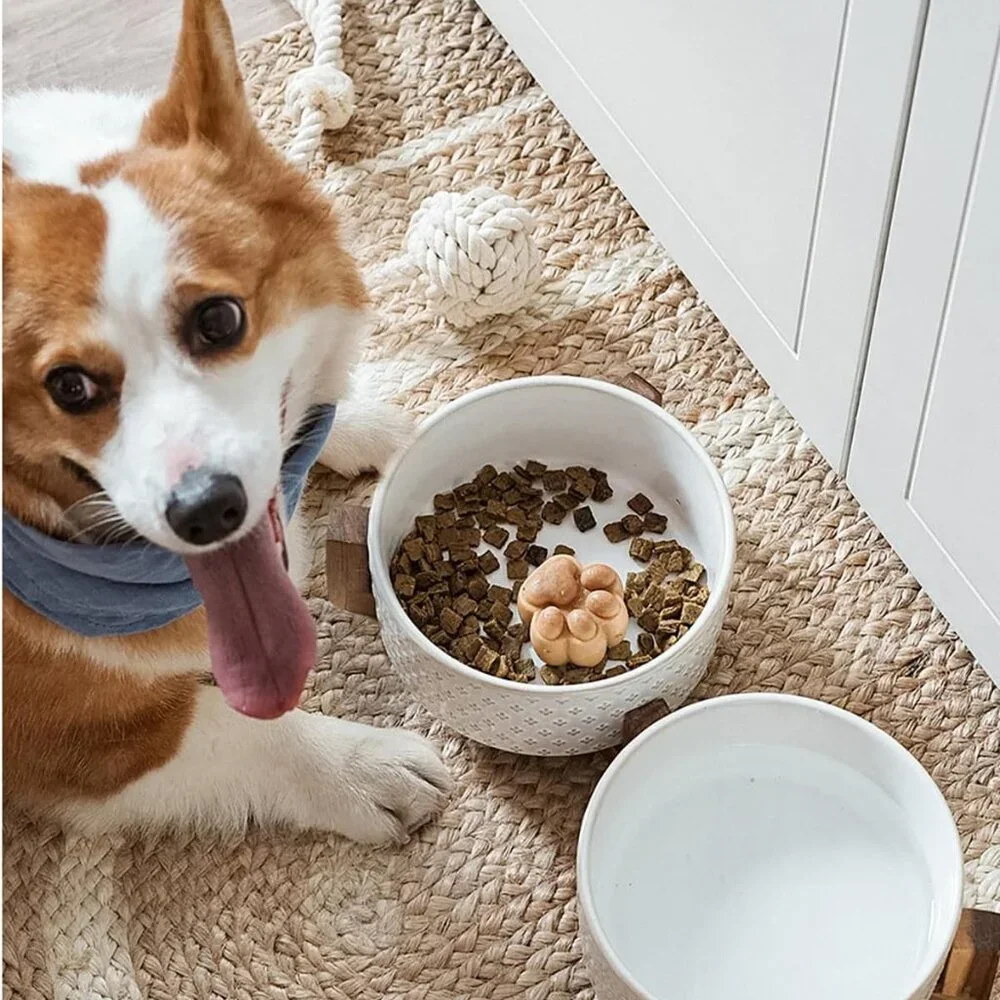 Dog Bowl Set with Acacia Wood Stand